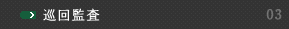 巡回監査